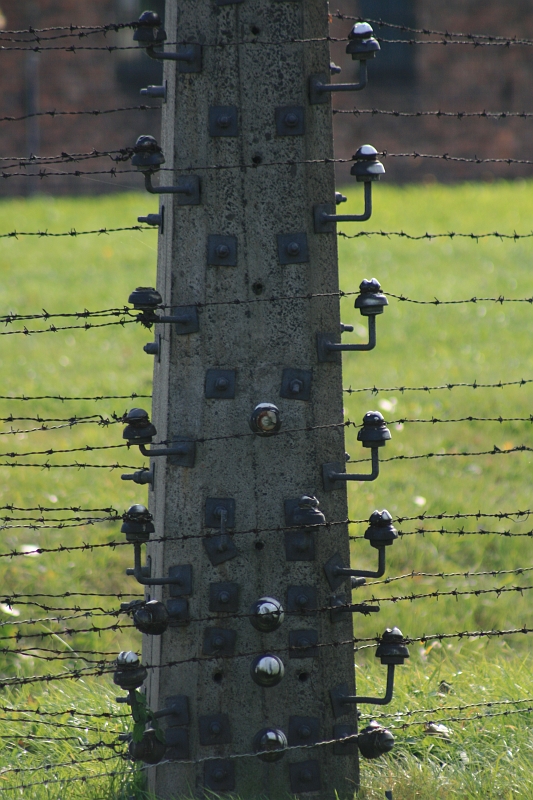 a 051